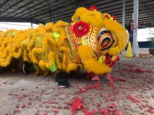 52165078 895858703918101 6240418598678953984 n